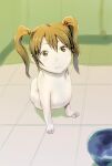  borusen brown_eyes brown_hair canid canine canis domestic_dog female feral floor hair hairless hairless_dog human humanoid_face hybrid inside kitchen looking_at_viewer mammal nipples paws pet_bowl pigtails sitting solo tile tile_floor water_bowl 
