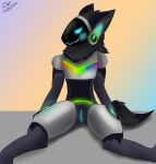  2022 anthro arya_protogen black_body black_fur blush digital_media_(artwork) female fur fur_markings genitals glowing glowing_eyes hi_res karuthepwimmy looking_at_viewer machine markings multicolored_body multicolored_fur nude presenting protogen protogen_visor pussy rainbow_pride_colors screen screen_face simple_background sitting smile solo sparktra12 two_tone_body two_tone_fur vaginal 