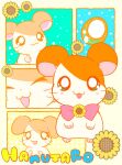  :3 animal animal_focus blush_stickers bow bowtie character_name closed_eyes commentary copyright_name flower green_eyes hamster hamtaro hamtaro_(series) highres looking_at_viewer multiple_views no_humans open_mouth smile sunflower whiskers yukimifuyusaki 