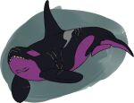  ambiguous_gender black_body black_tail cetacean delphinoid dorsal_fin feral fin forked_tail imperatorcaesar mammal marine mouth_closed oceanic_dolphin orca purple_body purple_tail scar sharp_teeth simple_background solo teeth toothed_whale unusual_anatomy unusual_tail 