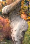  big_breasts big_butt breasts butt edit elemental_creature elemental_humanoid female flora_fauna grey_body hi_res humanoid photo_background photo_manipulation plant plant_humanoid rocner side_boob side_butt side_view solo thick_thighs treant tree tree_humanoid 