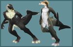  anthro beady_eyes black_body black_tail blowhole blue_background featureless_crotch fin forked_tail imperatorcaesar male marine navel nude simple_background solo standing tail_fin unusual_anatomy unusual_tail white_body 