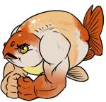  angry biceps black_eyebrows eyebrows fish glistening glistening_body glistening_eyes imperatorcaesar marine muscular orange_body simple_background solo triceps white_background white_body yellow_body 