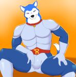  anthro armor blue_body blue_fur bulge canid canine canis clothed clothing domestic_dog exile_(road_rovers) fully_clothed fur half-closed_eyes husky male mammal merffle narrowed_eyes nordic_sled_dog road_rovers seductive siberian_husky sitting smile solo spitz white_body white_fur 