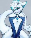  anthro blush character_colours collar dragon fluffy fluffy_tail girly hi_res latex looking_at_viewer male ori ori_and_the_blind_forest rekiowaa solo spirit 