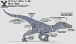  ambiguous_gender blue_body blue_skin cybernetics cyborg dinosaur dromaeosaurid featherless feral hi_res information_label machine orange_eyes phlegraofmystery reptile sam_(phlegraofmystery) scalie solo theropod velociraptor 