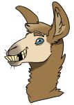  ambiguous_gender blue_sclera brown_body brown_ears brown_eyebrows brown_eyes brown_fur brown_hair brown_inner_ear camelid eyebrows fur glistening glistening_eyes grin hair hi_res imperatorcaesar llama mammal simple_background smile solo tan_body white_background 