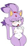  2016 anthro areola big_breasts blaze_the_cat blush breasts digital_drawing_(artwork) digital_media_(artwork) domestic_cat edit felid feline felis female fur half-closed_eyes hand_on_breast hi_res mammal narrowed_eyes navel nipples nude sega solo sonic_the_hedgehog_(series) tenshigarden thick_thighs wide_hips 