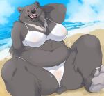  anthro beach belly big_breasts big_butt bikini bikini_bottom bikini_top bodily_fluids bra breasts butt camel_toe claws clothing fangs female fur galette genital_outline grey_body grey_fur hand_behind_head hi_res mammal narrowed_eyes navel neck_tuft open_mouth overweight paws portrait pussy_outline scar seaside sitting solo sweat sweatdrop swimwear tail_tuft thick_thighs three-quarter_portrait tuft underwear ursid wide_hips yellow_eyes 