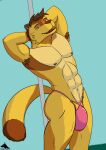  absurd_res anthro ash_valentine canid canine clothing dobie-ace hi_res male male/male mammal raccoon_dog solo tanuki thong underwear 