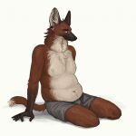  2019 anthro belly_overhang bottomwear boxers_(clothing) bulge canid canine cettus clothing digital_drawing_(artwork) digital_media_(artwork) furgonomics furry-specific_piercing hi_res leggy_(cettus) looking_at_viewer love_handles male mammal maned_wolf multicolored_body nipples overweight overweight_anthro overweight_male piercing simple_background slightly_chubby solo two_tone_body underwear white_background 