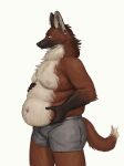  2019 anthro belly_overhang bottomwear boxers_(clothing) bulge canid canine cettus clothing digital_drawing_(artwork) digital_media_(artwork) furgonomics furry-specific_piercing hand_on_stomach hi_res holding_belly leggy_(cettus) looking_down love_handles male mammal maned_wolf multicolored_body nipples obese obese_anthro obese_male overweight overweight_anthro overweight_male piercing simple_background solo two_tone_body underwear white_background 