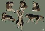 animal_genitalia anthro canid canine canis feral fur genitals howl lazywolf male mammal nude paws sheath solo windwo1f wolf 