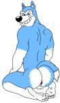  anthro anus balls barefoot blue_body blue_fur butt canid canine canis domestic_dog exile_(road_rovers) feet fur genitals hi_res husky looking_at_viewer looking_back male mammal multicolored_body multicolored_fur muscular muscular_anthro muscular_male nightfox90 nordic_sled_dog nude road_rovers siberian_husky smile smirk solo spitz teeth toes two_tone_body two_tone_fur white_body white_fur wrinkled_feet 