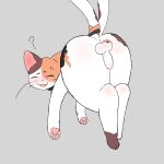  1:1 2_tails anus asian_mythology balls bell bell_collar big_butt blush bodily_fluids body_blush butt calico_cat catmakinbiscuits chip_(catmakinbiscuits) collar cute_expression cute_fangs domestic_cat east_asian_mythology embarrassed erection eyes_closed felid feline felis feral foreskin fur genitals hi_res japanese_mythology leg_markings looking_at_viewer male mammal markings mottled mottled_genitalia multi_tail mythology nekomata open_mouth pawpads paws penis piebald presenting presenting_anus presenting_hindquarters presenting_penis question_mark simple_background socks_(marking) solo sweat sweatdrop tail_wraps whiskers wraps yōkai 