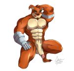  absurd_res activision anthro balls barefoot bedroom_eyes crash_bandicoot_(series) crunch_bandicoot fectofalsus feet fur genitals hi_res looking_at_viewer male muscular narrowed_eyes nipples nude penis seductive solo tongue vein video_games 