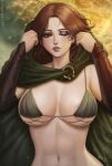  1girl artist_name bikini bikini_top_only blurry blurry_background breasts brown_eyes brown_hair cloak elden_ring english_commentary erdtree_(elden_ring) facial_tattoo green_cloak highres hood hooded_cloak kyopink large_breasts looking_at_viewer medium_hair melina_(elden_ring) navel one-eyed one_eye_closed parted_lips scar scar_across_eye solo stomach swimsuit tattoo upper_body 