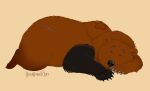  bearhybrid brown_body brown_fur calm feral fluffy fur male mammal nafeon sleeping solo ursid 