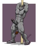  anthro armpit_hair balls bdsm body_hair bondage bound chestnuts_(artist) clothing cuff_(restraint) erection flip_flops footwear genitals handcuffs looking_at_viewer male mammal metal_cuffs muscular nipples nude pole restraints rhinocerotoid sandals solo tail_between_legs 