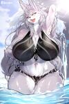  absurd_res anthro big_breasts bikini breasts canid canine cleavage clothed clothing female fur hi_res huge_breasts kantan mammal multicolored_body multicolored_fur solo swimwear thick_thighs two_tone_body two_tone_fur wet wet_body wet_fur 
