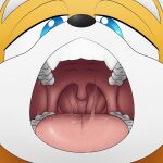 1:1 absurd_res canid canine fox hi_res izzyrain male mammal miles_prower open_mouth sega solo sonic_the_hedgehog_(series) 
