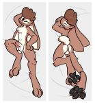  3_toes absurd_res anthro anus balls black_pawpads border brown_body brown_fur butt cheddy_(galcheddy) cheek_tuft chest_tuft curled_hair erection eye_spot eyes_closed facial_tuft feet floppy_ears fur genitals hair hi_res humanoid_genitalia humanoid_penis knee_tuft lagomorph leg_tuft leporid lying male mammal multicolored_body multicolored_fur on_back on_front one_eye_closed pawpads paws penis pinup pose rabbit simple_background solo the_xing1 toes trans_(lore) trans_woman_(lore) tuft two_tone_body two_tone_fur white_background white_body white_border white_fur 