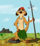  disney herpestid makeup mammal meerkat melee_weapon mongoose polearm spear the_lion_king timon tribal_clothing weapon 