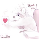  &lt;3 1:1 anthro back_tuft blue_eyes chair cheek_tuft claws closed_smile drawing_tablet english_text eyebrows facial_markings facial_tuft finger_claws furniture glistening glistening_eyes hair head_markings hi_res inner_ear_fluff male mammal markings mask_(marking) mouth_closed mug pache_riggs paper partially_colored procyonid raccoon signature simple_background sitting solo text tuft 