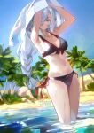  1girl armpits arms_up artist_name bangs bikini black_bikini blue_sky braid braided_ponytail breasts day genshin_impact grey_eyes grey_hair hair_over_one_eye jewelry large_breasts long_hair looking_at_viewer navel necklace outdoors palm_tree parted_lips shenhe_(genshin_impact) side-tie_bikini sky solo standing stomach swimsuit sydus tree very_long_hair wading water 