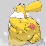  anus bodily_fluids butt chub_(disambiguation) hi_res musk nintendo overweight pikachu pok&eacute;mon pok&eacute;mon_(species) slightly_chubby sweat video_games 