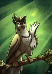  absurd_res accipitrid accipitriform avian beak bird claws digital_media_(artwork) eagle feathered_wings feathers female feral harpy_eagle hi_res penny_plume smile solo the_forest_of_love wings zock_(birb) 