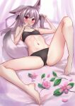  1girl absurdres akinakesu-chan animal_ear_fluff animal_ears arm_up bangs bare_arms bare_legs bare_shoulders barefoot bed_sheet black_bra black_panties black_ribbon blush bow bow_bra bow_panties bra breasts collarbone covered_mouth flower grey_hair hair_between_eyes hair_ribbon hand_up highres knee_up long_hair lying navel on_back original panties petals pillow pink_flower red_eyes ribbon small_breasts solo spread_legs tail twintails underwear underwear_only 