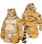  2022 anthro asian_clothing belly bulge butt clothing east_asian_clothing felid fundoshi hi_res humanoid_hands japanese_clothing kemono korosuke male mammal moobs navel nipples overweight overweight_male pantherine simple_background solo tiger underwear white_clothing white_fundoshi white_underwear 