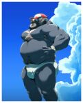  2022 anthro armpit_hair beard body_hair bulge clothing cloud facial_hair hat headgear headwear hi_res humanoid_hands kemono male mammal musclegut nipples outside overweight overweight_male solo swimwear tetsuo_oshiba underwear ursid 