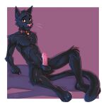  anthro balls bell bell_collar black_balls black_body black_ears black_eyebrows black_fur black_head_tuft black_inner_ear black_tail cheek_tuft chest_tuft collar erection eyebrows facial_tuft felid feline front_view fur genitals glistening glistening_eyes head_tuft hi_res humanoid_genitalia humanoid_penis knee_tuft leaning leaning_back leg_tuft looking_at_viewer male mammal mouth_closed penis pink_nose pink_penis reclining shoulder_tuft sitting solo tomleo_(fursona) tuft whiskers yookie 
