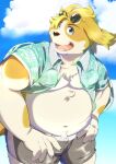  2022 aloha_shirt anthro belly big_belly bottomwear canid canine canis clothed clothing cloud domestic_dog eyewear eyewear_on_head hi_res hisaki_(live-a-hero) humanoid_hands kemono lifewonders live-a-hero male mammal moobs nazebesu_hobby open_clothing open_shirt open_topwear outside overweight overweight_male pattern_clothing pattern_shirt pattern_topwear shirt shorts solo sunglasses sunglasses_on_head topwear video_games water 