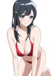  1girl all_fours bangs bare_arms bare_legs barefoot bikini black_eyes black_hair blush breasts cleavage collarbone diagonal_bangs halterneck highres long_hair looking_at_viewer love_live! love_live!_nijigasaki_high_school_idol_club medium_breasts navel red_bikini simple_background skindentation smile solo swimsuit ta_02ss white_background yuuki_setsuna_(love_live!) 