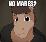  absurd_res almy anthro brick_heartstone clothed clothing concerned ear_piercing equid equine frown fur hair hi_res horse looking_at_viewer male mammal meme no_bitches? parody piercing solo topwear 
