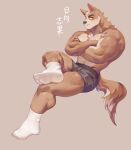  2022 absurd_res anthro beard canid canine canis clothed clothing crossed_legs domestic_dog facial_hair footwear fur guojun2333 hi_res male mammal muscular muscular_male mustache socks solo tan_body tan_fur topless underwear 