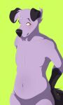  ambiguous_gender anthro blush canid canine canis domestic_dog entoxia floppy_ears fur green_background hi_res looking_away mammal multicolored_body multicolored_fur navel nude purple_body purple_fur simple_background solo standing tagme yellow_eyes 
