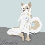  2022 anthro big_breasts braelynn_auburn breasts canid canine canis curled_tail curvy_figure digital_drawing_(artwork) digital_media_(artwork) domestic_dog female fur genitals hair hi_res husky looking_at_viewer mammal nipples nordic_sled_dog nude presenting presenting_breasts presenting_pussy pussy simple_background smile solo spitz spread_legs spreading thick_thighs wasabikitten white_body 