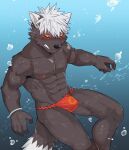  abs asian_clothing blush bulge canid canine clothing east_asian_clothing fundoshi hair japanese_clothing lifewonders luwei_(artist) male mammal muscular muscular_male nipples red_eyes solo tadatomo tokyo_afterschool_summoners underwater underwear video_games water white_hair yellow_sclera 