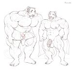 2022 abs anthro anthro_on_anthro areola balls benji_(character) biceps big_muscles clouded_leopard coach_(purrcules) comparing comparing_penis digital_media_(artwork) duo embarrassed eyebrows felid genitals glans hi_res huge_muscles humanoid_genitalia humanoid_penis jaguar line_art mainlion male male/male mammal muscular muscular_anthro muscular_male muscular_thighs navel nipples nude pantherine pecs penis penis_size_difference quads smile thick_thighs towel 