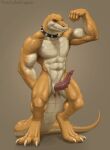  anthro bulky collar crocodile crocodilian crocodylid feet genitals hi_res lizard muscular penis reptile scalie slit thejoyfuldragon 