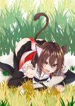  1girl all_fours animal_ear_fluff animal_ears arm_warmers black_skirt black_thighhighs brown_eyes brown_hair cat_ears cat_tail commentary_request cowboy_shot grass highres izumo_ayuka kantai_collection looking_at_viewer no_panties sailor_collar school_uniform sendai_(kancolle) sendai_kai_ni_(kancolle) serafuku short_hair skirt solo tail thighhighs white_sailor_collar 