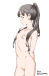  1girl arm_behind_back blush breasts brown_hair character_name closed_mouth collarbone completely_nude cowboy_shot female_pubic_hair hair_over_shoulder hamao high_ponytail idolmaster idolmaster_cinderella_girls kobayakawa_sae long_hair navel nipples nude profile pubic_hair shiny shiny_hair simple_background sketch small_breasts smile solo standing very_long_hair white_background 