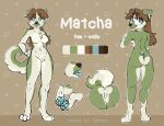  2022 absurd_res anthro anus blue_pawpads blue_tongue breasts brown_hair butt canid canine canis chest_tuft digital_media_(artwork) digitigrade domestic_dog female fur genitals green_body green_fur hair hand_on_hip hi_res itsspoopsb looking_up mammal matcha_(itsspoopsb) model_sheet navel nude pawpads pussy smile solo standing tongue tongue_out tuft 