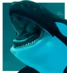  ambiguous_gender beady_eyes black_body border cetacean delphinoid feral glistening glistening_body imperatorcaesar mammal marine mouth_shot oceanic_dolphin open_mouth orca sharp_teeth signature solo teeth toothed_whale underwater water white_body white_border 