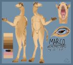  anthro blue_background blue_body brown_body brown_fur brown_hair brown_hooves butt camel camel_toe camelid cheek_tuft facial_tuft featureless_crotch front_view fur glistening glistening_eyes hair hi_res hooves horizontal_pupils imperatorcaesar long_neck male mammal marco_(imperatorcaesar) model_sheet mouth_shot navel open_mouth pupils rear_view signature simple_background solo standing tan_body tan_ears tan_fur tan_inner_ear tan_tail tuft 