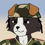  anthro border_collie brown_body brown_ears brown_fur canid canine canis clothing collie domestic_dog esprit floppy_ears fur grey_body grey_fur herding_dog male mammal military_helmet military_uniform pastoral_dog sheepdog simple_background smile solo uniform white_body white_fur 